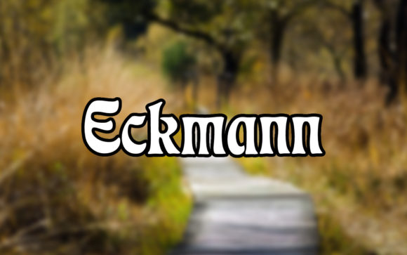 Eckmann: The Serif Font That Stops the Scroll